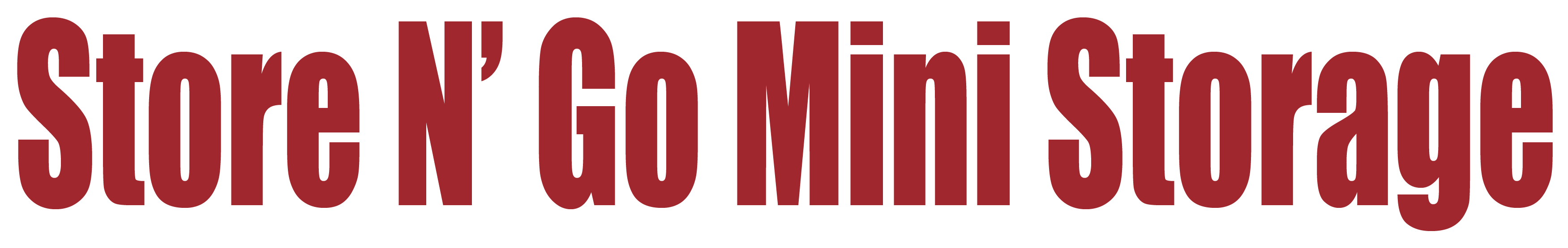Store N' Go Mini Storage Logo
